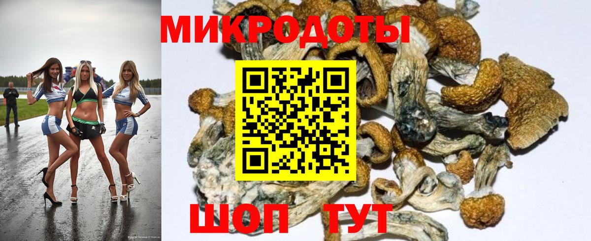 Галлюциногенные грибы GOLDEN TEACHER Можга