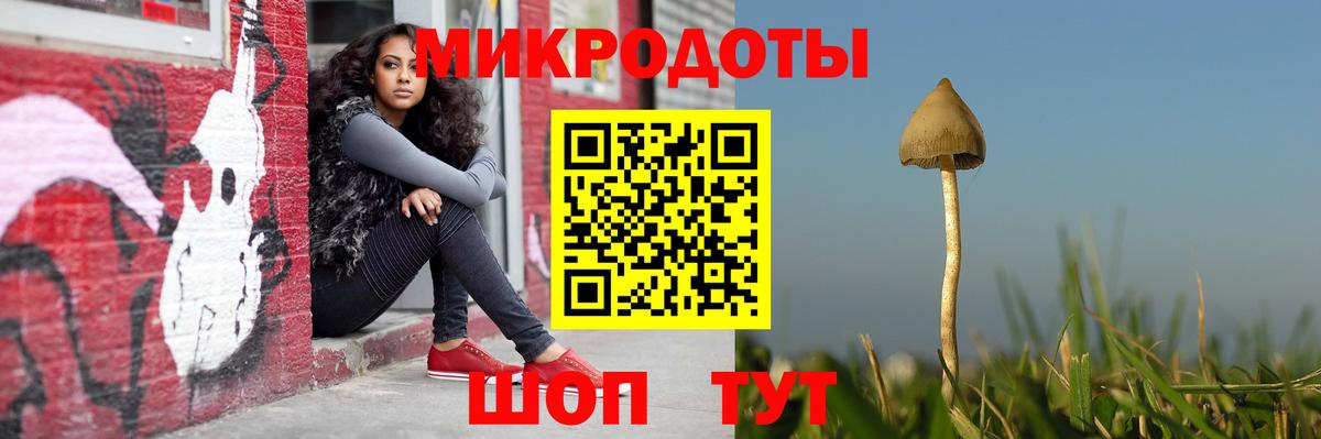 Галлюциногенные грибы Psilocybine cubensis  Вход с VPN  Можга 